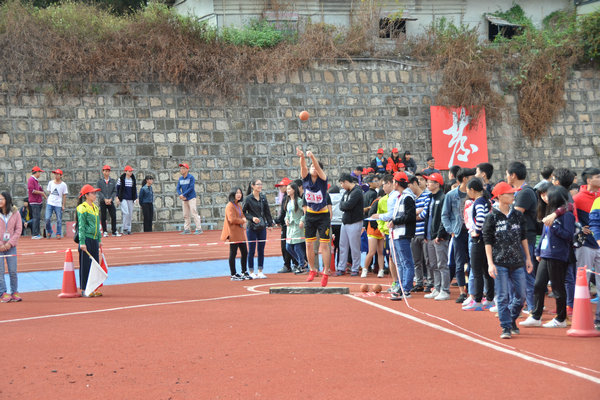 ѡ������