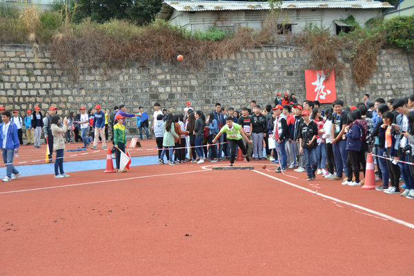 ѡ������2