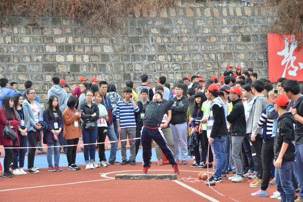 ѡ������3