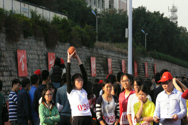 ѡ��Ԥ������