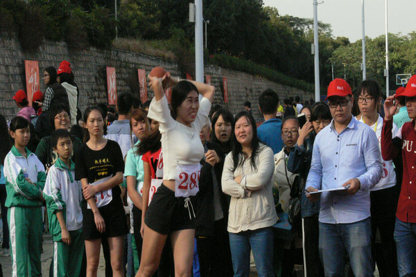 ѡ������