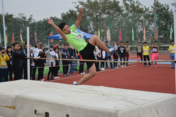 ѡ������