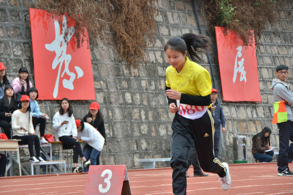 ѡ�ֱ�����(5)