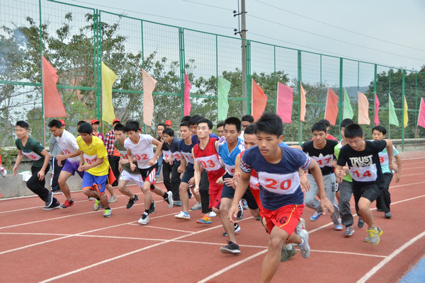 ѡ������