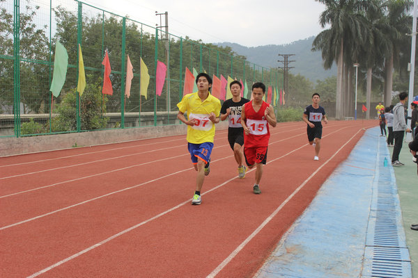 ѡ�ֱ�����