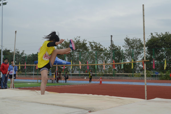 ѡ�ֱ�����2(1)