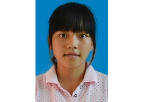 2015ҵл
