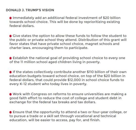 ▲ 截屏来自特朗普竞选官网