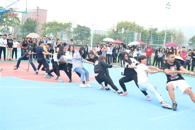 ���ҵı����ֳ�