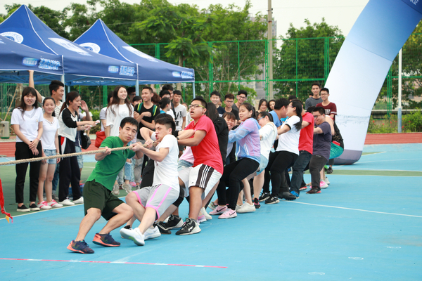 ����ѡ����